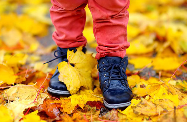 Chaussures écolo, chaussures green